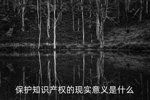 保護(hù)知識(shí)產(chǎn)權(quán)，怎樣保護(hù)知產(chǎn)權(quán)