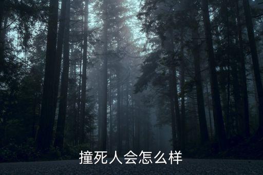 撞死，現(xiàn)在撞死一個(gè)人需要負(fù)哪些法律責(zé)任