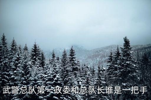 武警部隊領導，武警山東省總隊隊長是誰啊謝謝急