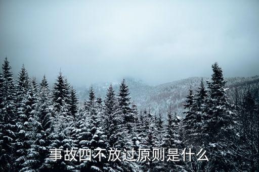 事故四不放過原則是什么