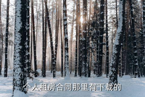 個人租房合同范本免費(fèi)下載，個人租房合同那里有下載的