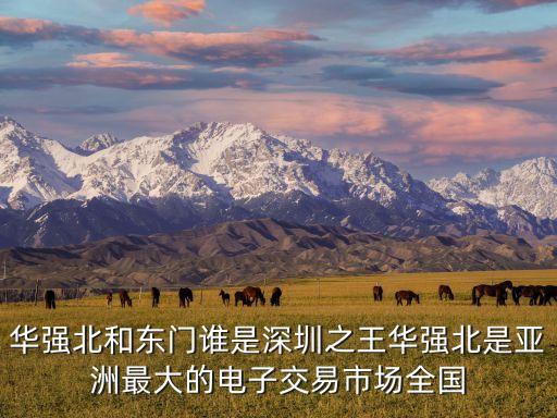 深圳王，一個(gè)王字旁一個(gè)深圳的深右半邊念啥字