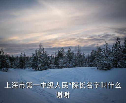 陳立斌，上海市第一中級(jí)人民*院長(zhǎng)名字叫什么謝謝