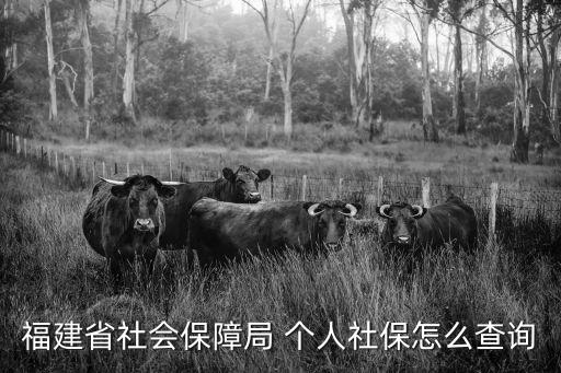 福建12333，有誰知道福建省漳州市社保中心電話