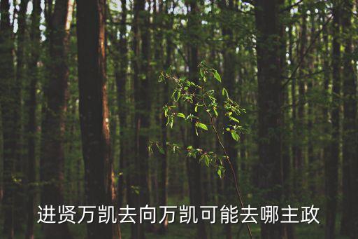 進賢萬凱去向萬凱可能去哪主政