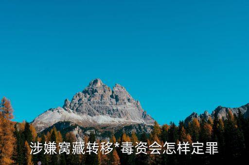 毒資，請問毒資的定義及范圍