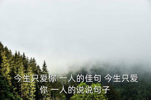 今生只愛你一人