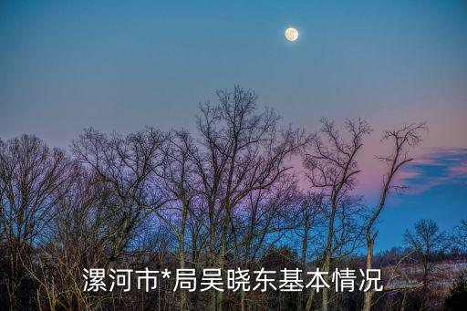 吳曉東，漯河市*局吳曉東基本情況