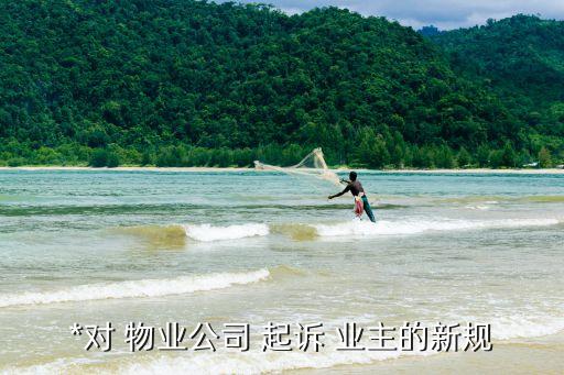 業(yè)主起訴物業(yè)服務(wù)合同無效,開發(fā)商起訴業(yè)主合同無效