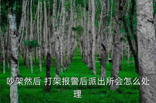 吵架然后 打架報(bào)警后派出所會(huì)怎么處理