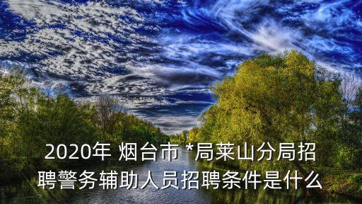煙臺市*局