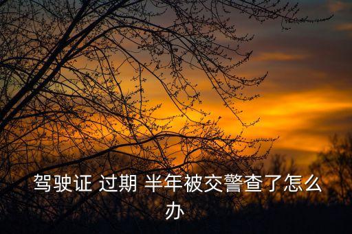 駕駛證過期半年