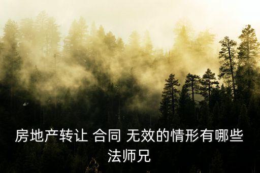 房地產(chǎn)轉(zhuǎn)讓 合同 無效的情形有哪些法師兄