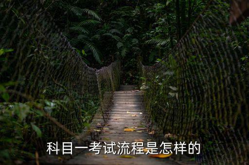 科目一考試流程，考科目一的流程