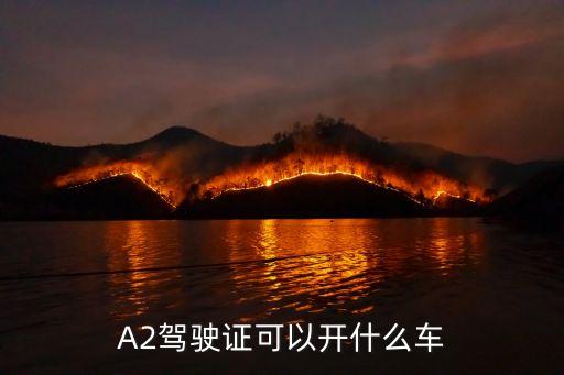駕駛證a2，駕駛A2證報(bào)考條件