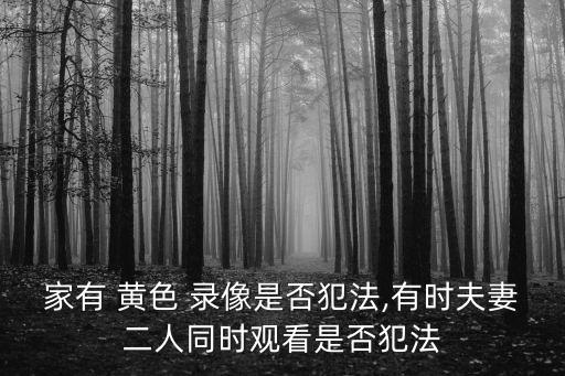 黃色一級(jí)錄像,老式錄像帶播放
