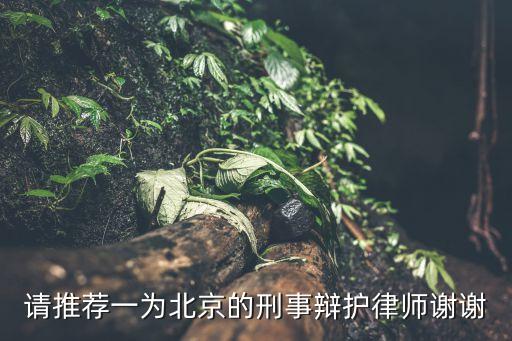請(qǐng)推薦一為北京的刑事辯護(hù)律師謝謝