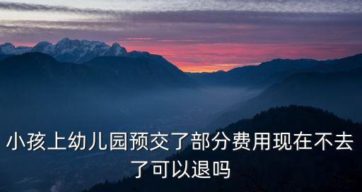 小孩上幼兒園預(yù)交了部分費用現(xiàn)在不去了可以退嗎