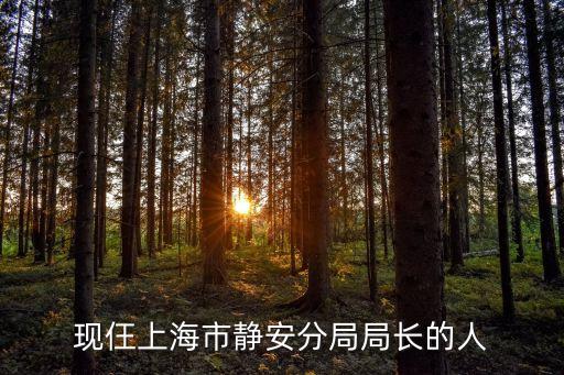 現(xiàn)仼上海市靜安分局局長的人