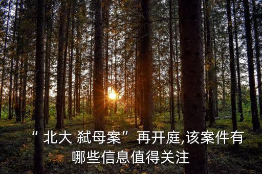 “ 北大 弒母案”再開庭,該案件有哪些信息值得關(guān)注