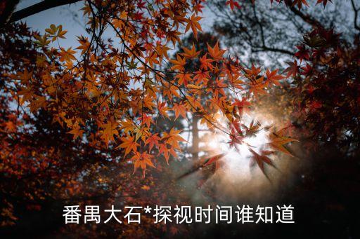番禺大石*探視時間誰知道