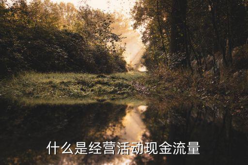 經(jīng)營活動現(xiàn)金流量，什么是經(jīng)營活動產(chǎn)生的現(xiàn)金流量