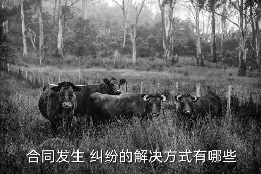  合同發(fā)生 糾紛的解決方式有哪些
