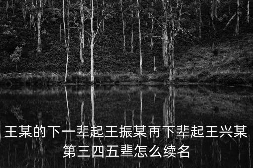 王某欣，王某的下一輩起王振某再下輩起王興某第三四五輩怎么續(xù)名