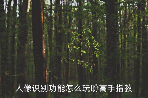 人像識別，人像識別的初始密碼是什么