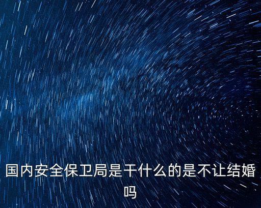 國內(nèi)安全保衛(wèi)，中國有哪些安全保衛(wèi)公司