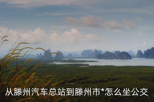 從滕州汽車總站到滕州市*怎么坐公交