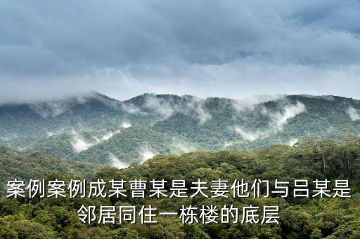 案例案例成某曹某是夫妻他們與呂某是鄰居同住一棟樓的底層
