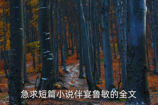 魯敏，喵丸偵探基魯敏的主人公是誰