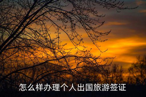 怎么樣辦理個(gè)人出國(guó)旅游簽證
