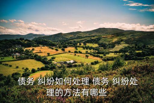 債務(wù)糾紛怎么處理,民事經(jīng)濟(jì)糾紛無力償還怎么辦