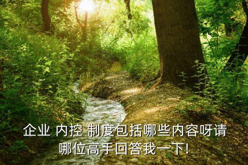  企業(yè) 內(nèi)控 制度包括哪些內(nèi)容呀請哪位高手回答我一下!