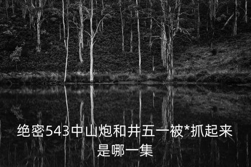 絕密543中山炮和井五一被*抓起來是哪一集