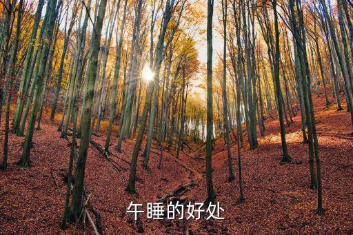 午休，怎樣午睡有益健康