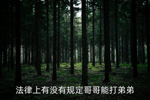 哥哥打弟弟，法律上有沒(méi)有規(guī)定哥哥能打弟弟