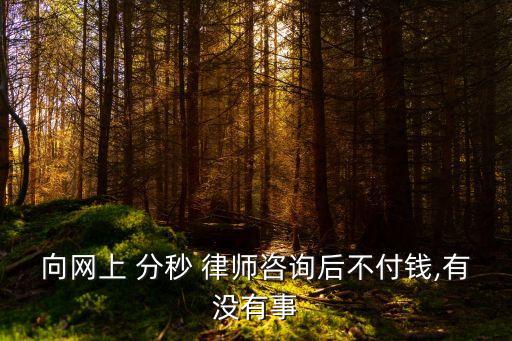向網(wǎng)上 分秒 律師咨詢后不付錢,有沒有事
