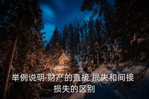 財產(chǎn)損失