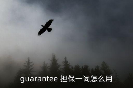 guarantee 擔(dān)保一詞怎么用