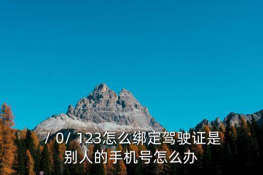  / 0/ 123怎么綁定駕駛證是別人的手機號怎么辦