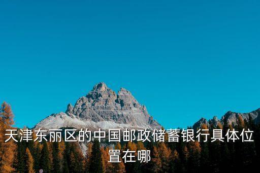 天津東麗區(qū)的中國郵政儲蓄銀行具體位置在哪