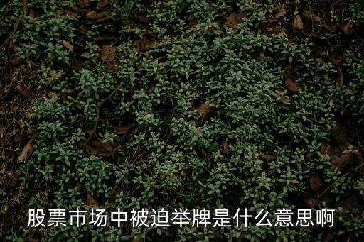 被舉牌，被別人coser舉牌要怎么回非常急