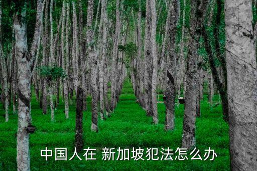 中國人在 新加坡犯法怎么辦