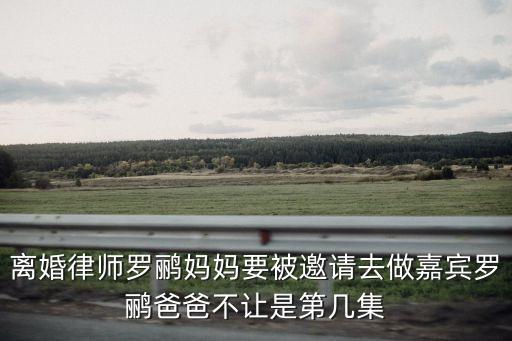 羅鸝，離婚律師里羅鸝給她媽媽的手機備注是什么