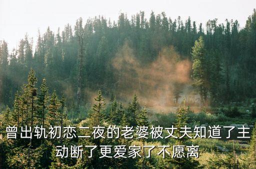 外遇的妻子2，我現(xiàn)在要離婚是老婆有外遇老婆提的要離我想問(wèn)的是我們嫁妝是2個(gè)