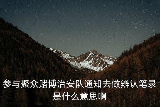 辨認(rèn)筆錄，辨認(rèn)筆錄應(yīng)該寫在案件審查報告的哪部分