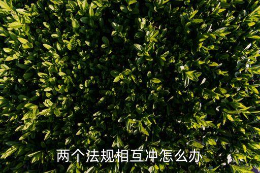 法律沖突，法律適用沖突的表現(xiàn)形式有哪些